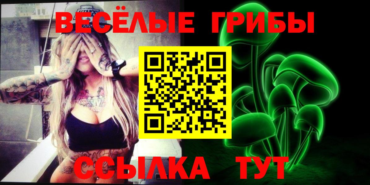 Галлюциногенные грибы GOLDEN TEACHER  Вход с VPN  купить   Соль-Илецк 